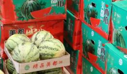 金乡吃瓜最新事件爆料,揭秘背后惊人真相！